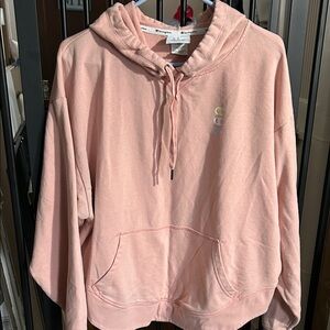Champion Women's Pastel Pink Hoodie